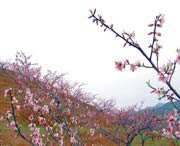 建宁天气预报10天